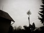 52decc0f48553.jpg