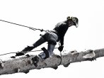 Arborist girl