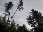 5381b9ca932f6.jpg