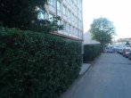 Živé ploty - Plzeň