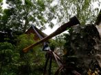 Arborist tree