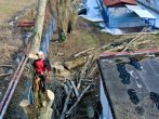 Pokácení části stromu v omezeném prostoru 