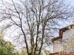 ořech Plzeň